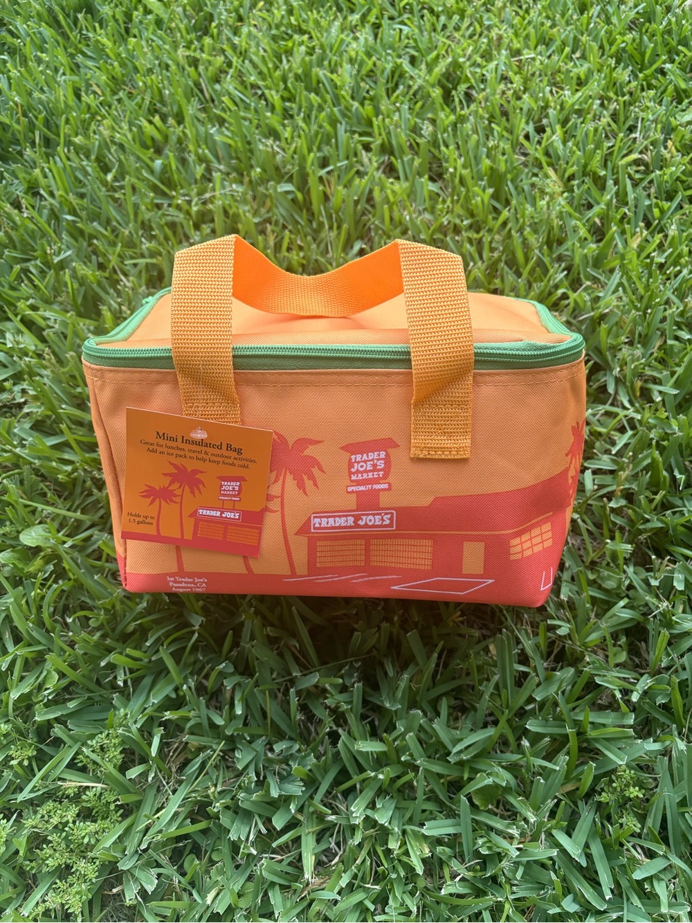 Trader Joe’s Mini Cooler in orange!! New with tag